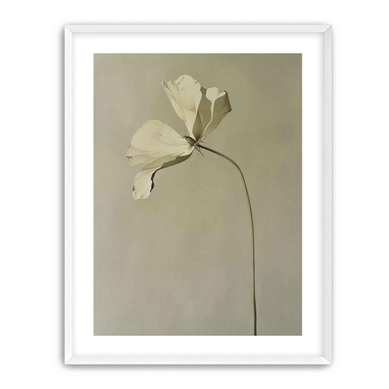 Cream petals in gray green air