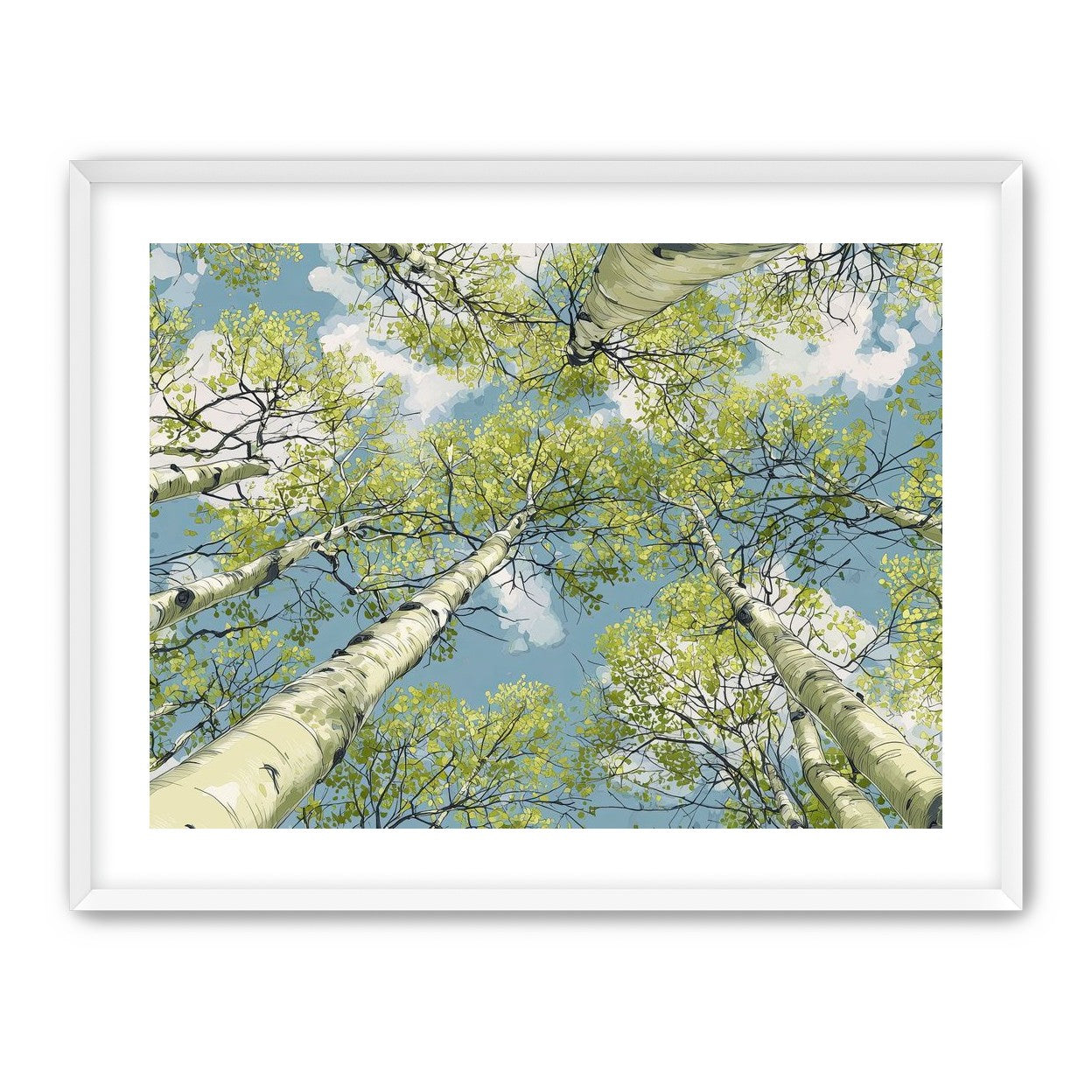 Aspen Canopy I