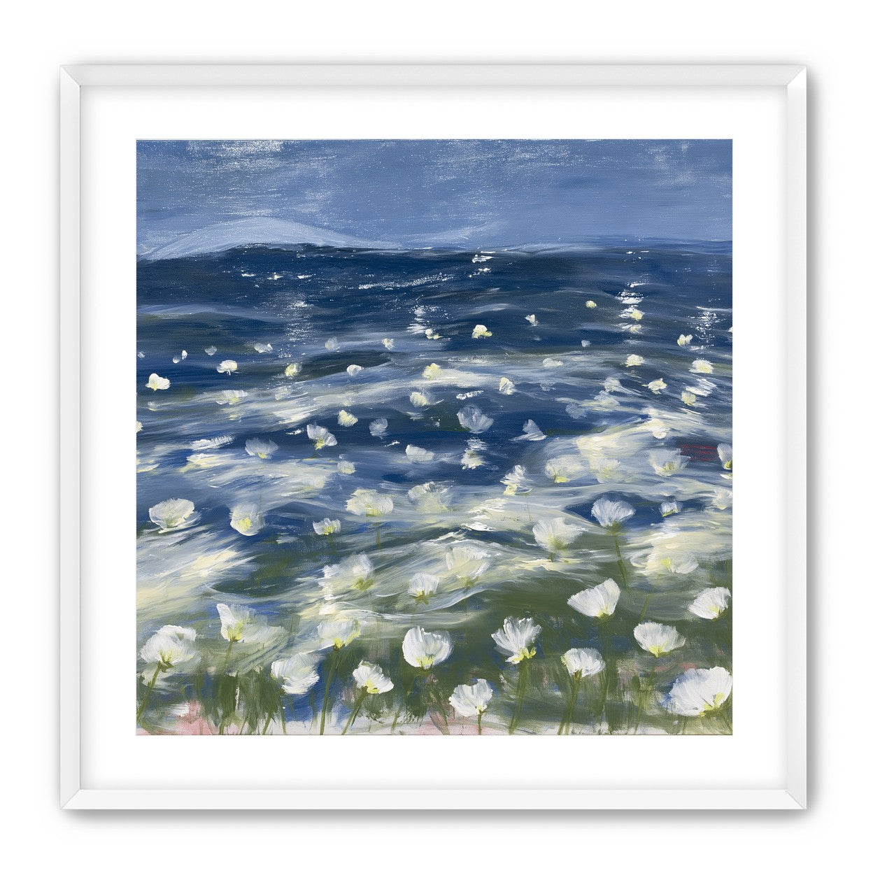 White flowers under blue sky
