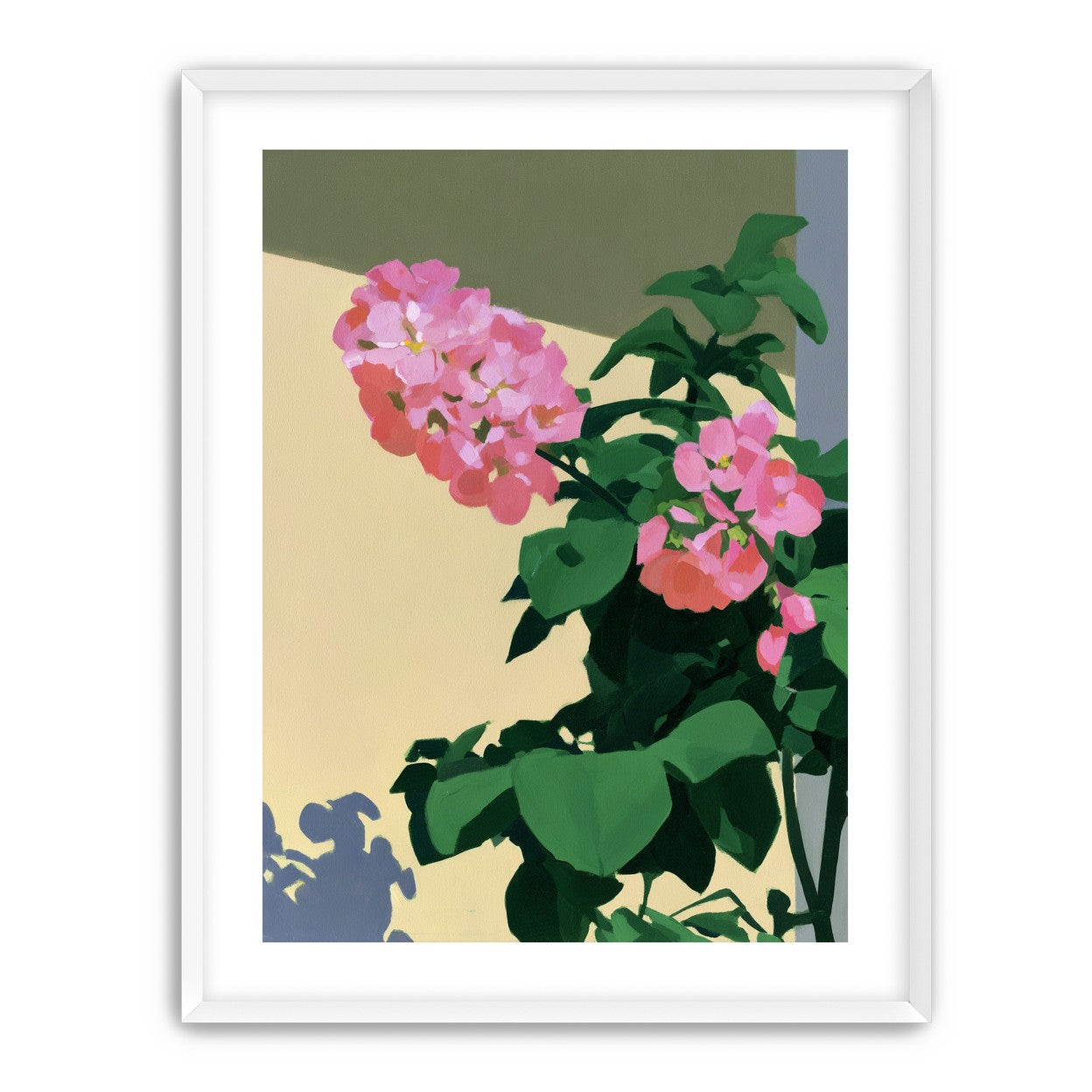 Pink blooms in hard light