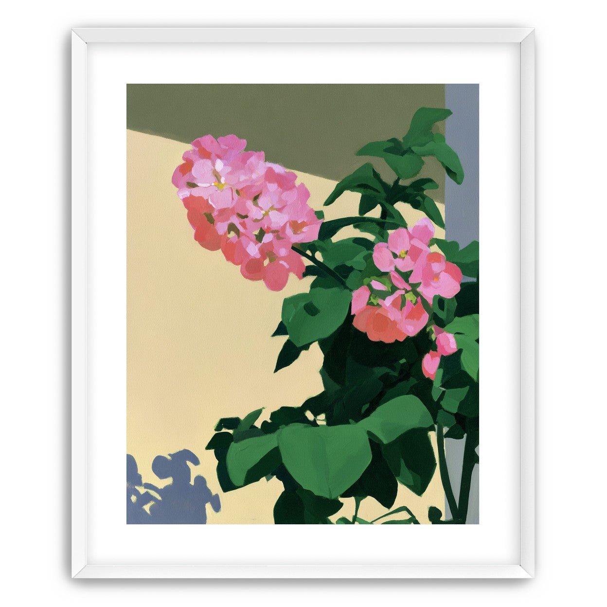 Pink blooms in hard light