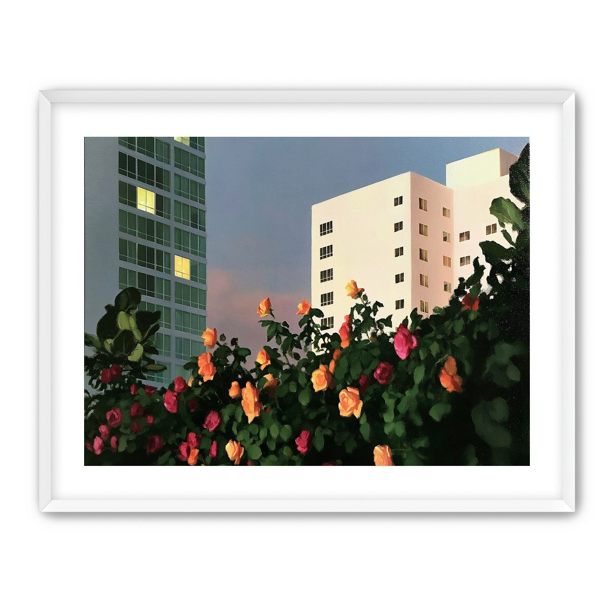 Roses below lit windows