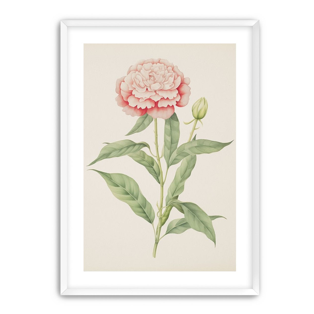 Delicate Blush