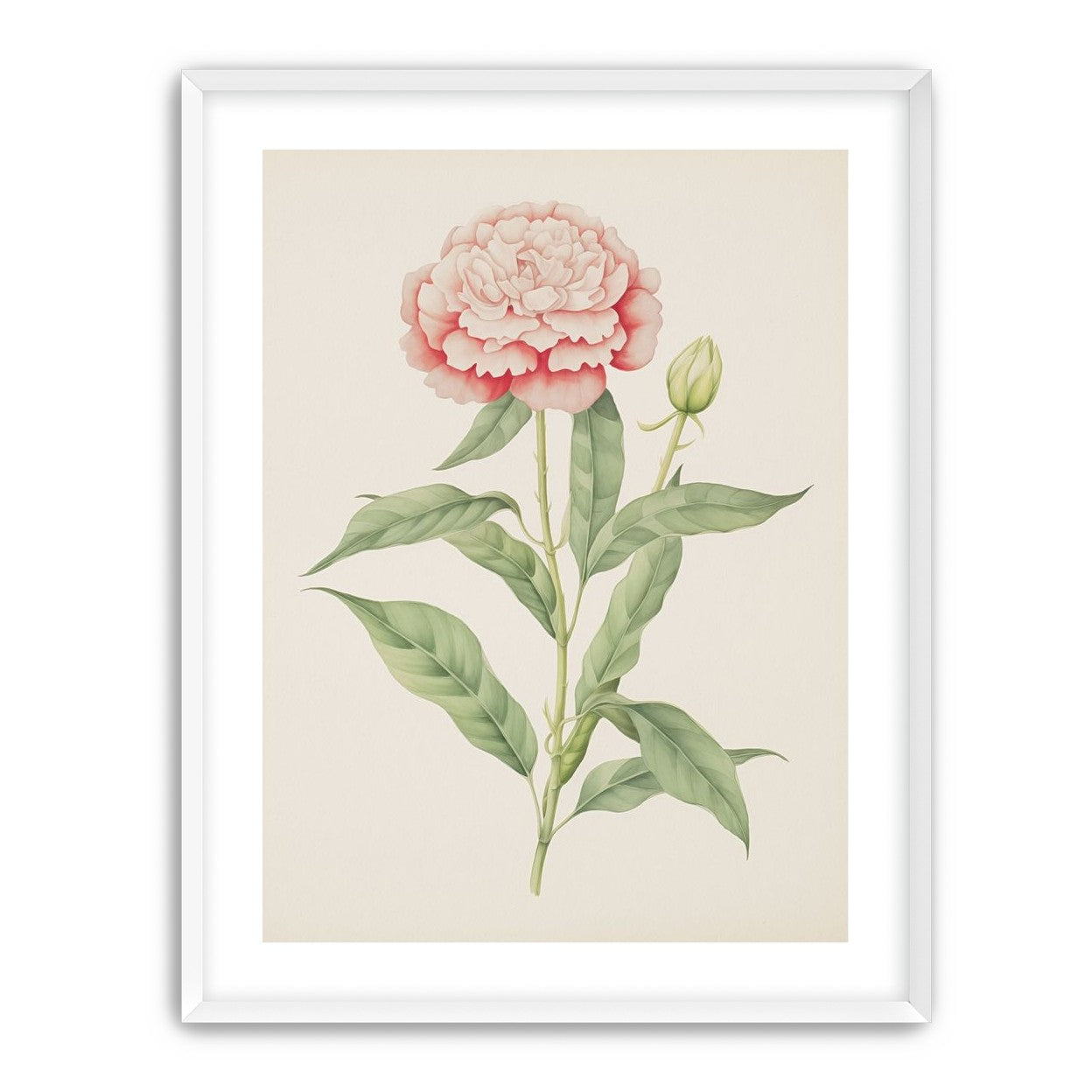 Delicate Blush