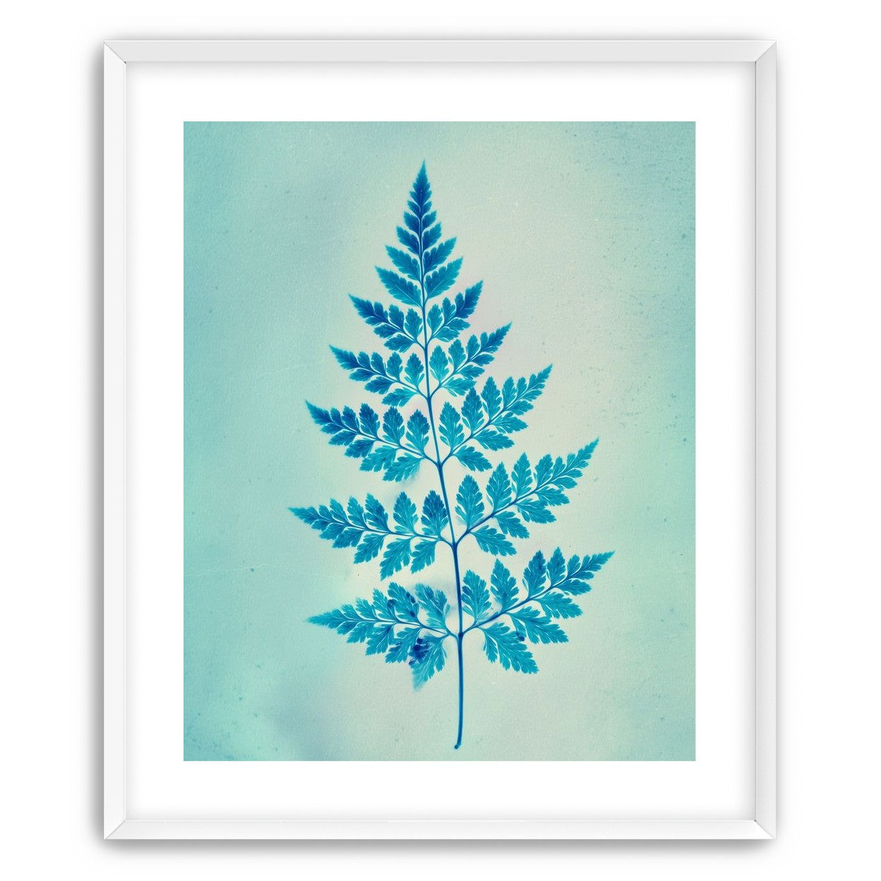 stems and leaves