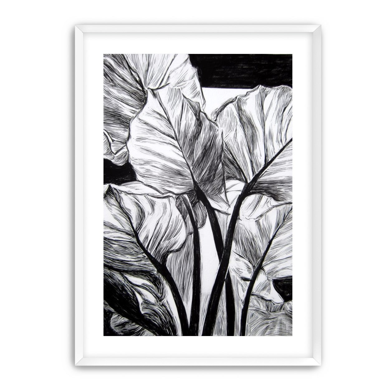 Overlapping Leaves on Dark Ground