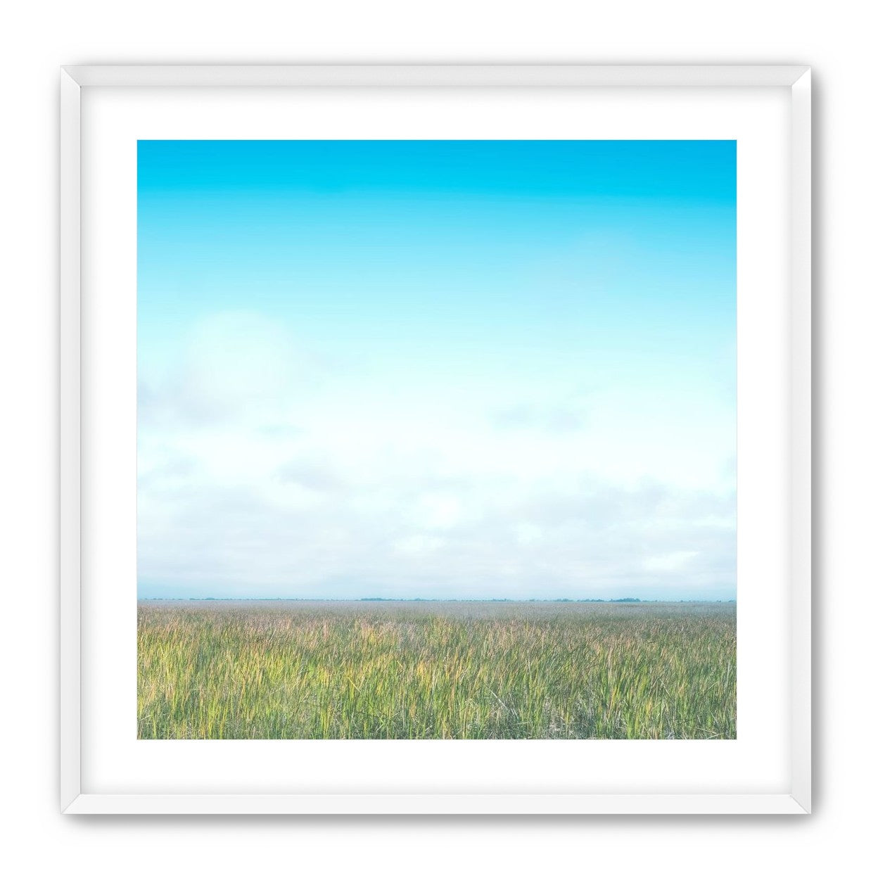 Grasslands