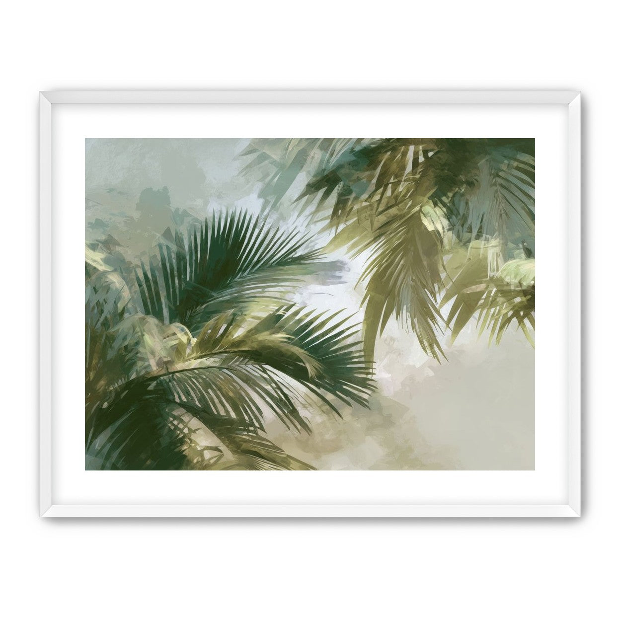 Palm Canopy