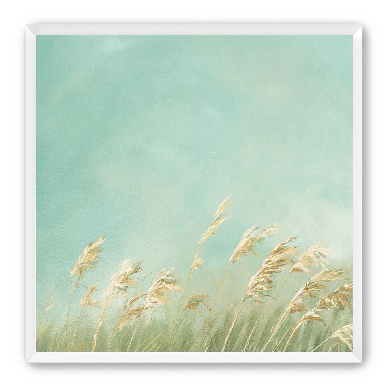 Turquoise sky over pale grass