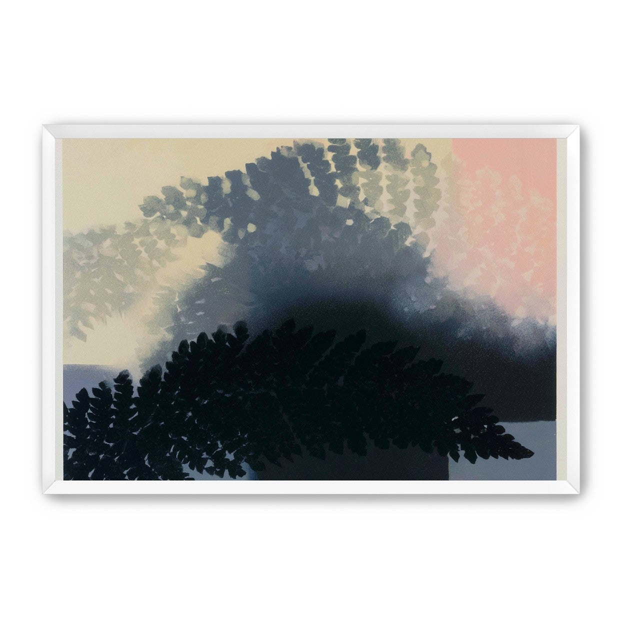 Tree shadow across the sky