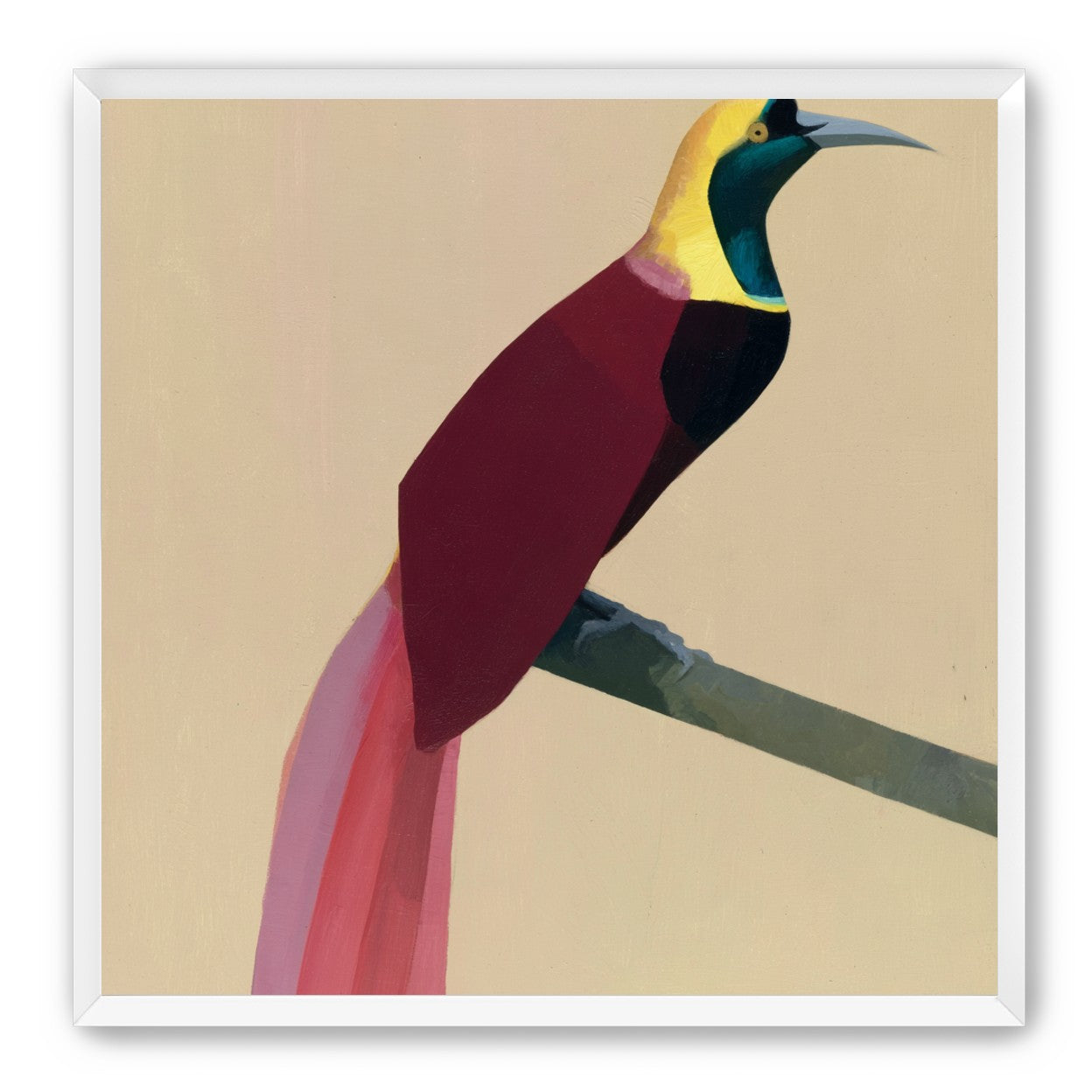 A bright bird on a branch