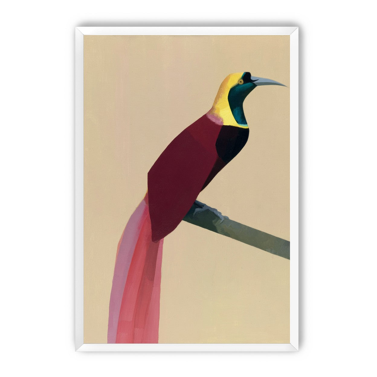 A bright bird on a branch