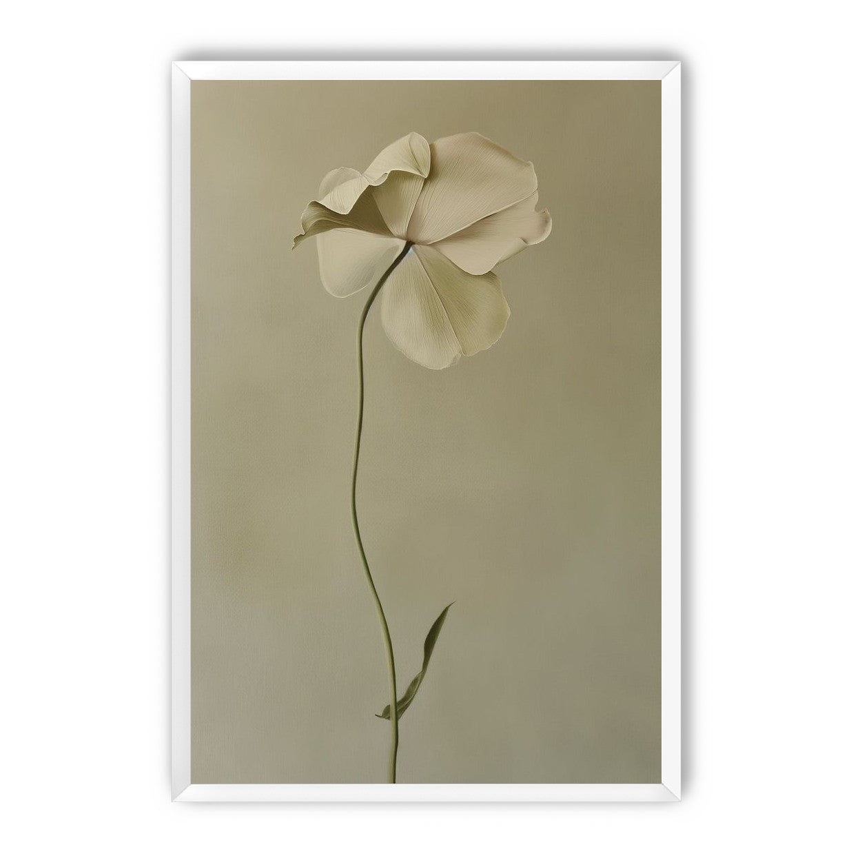 One flower leaning into quiet