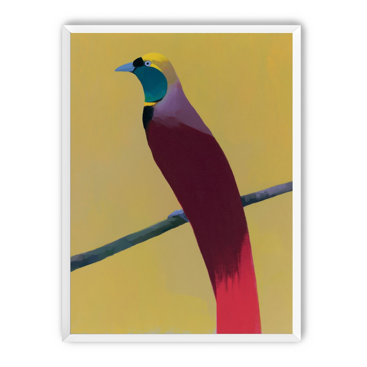 A bright bird on yellow