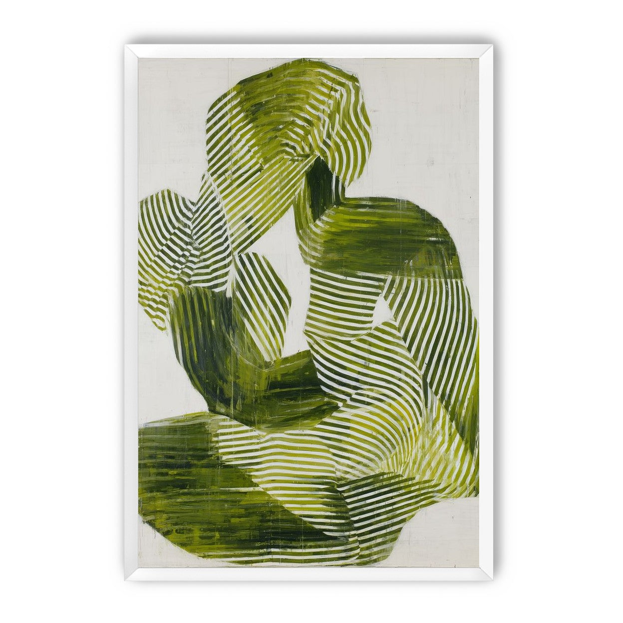 Olive stripes in repose