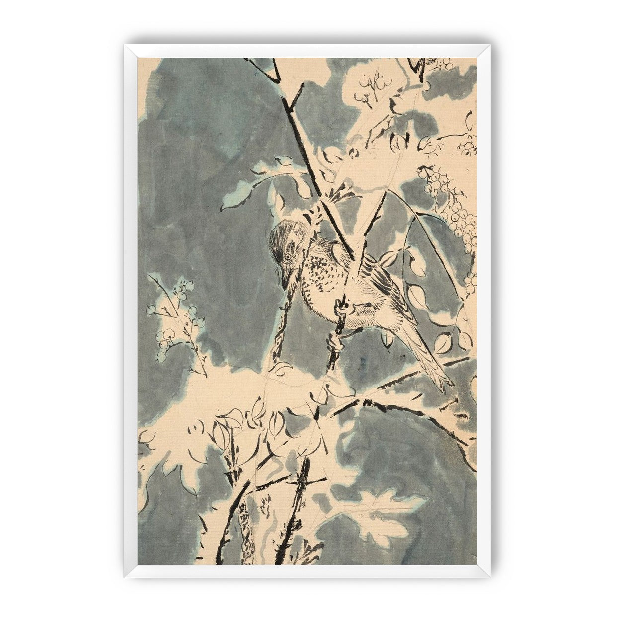 Quiet bird in berry branches