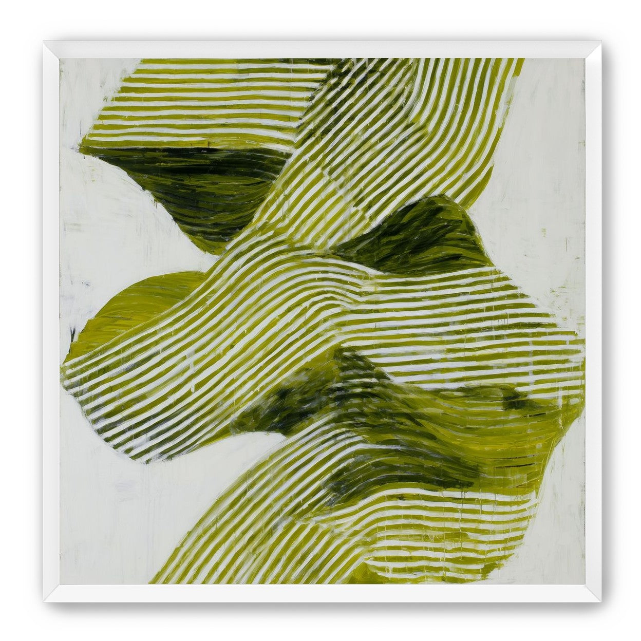 Olive stripes across white