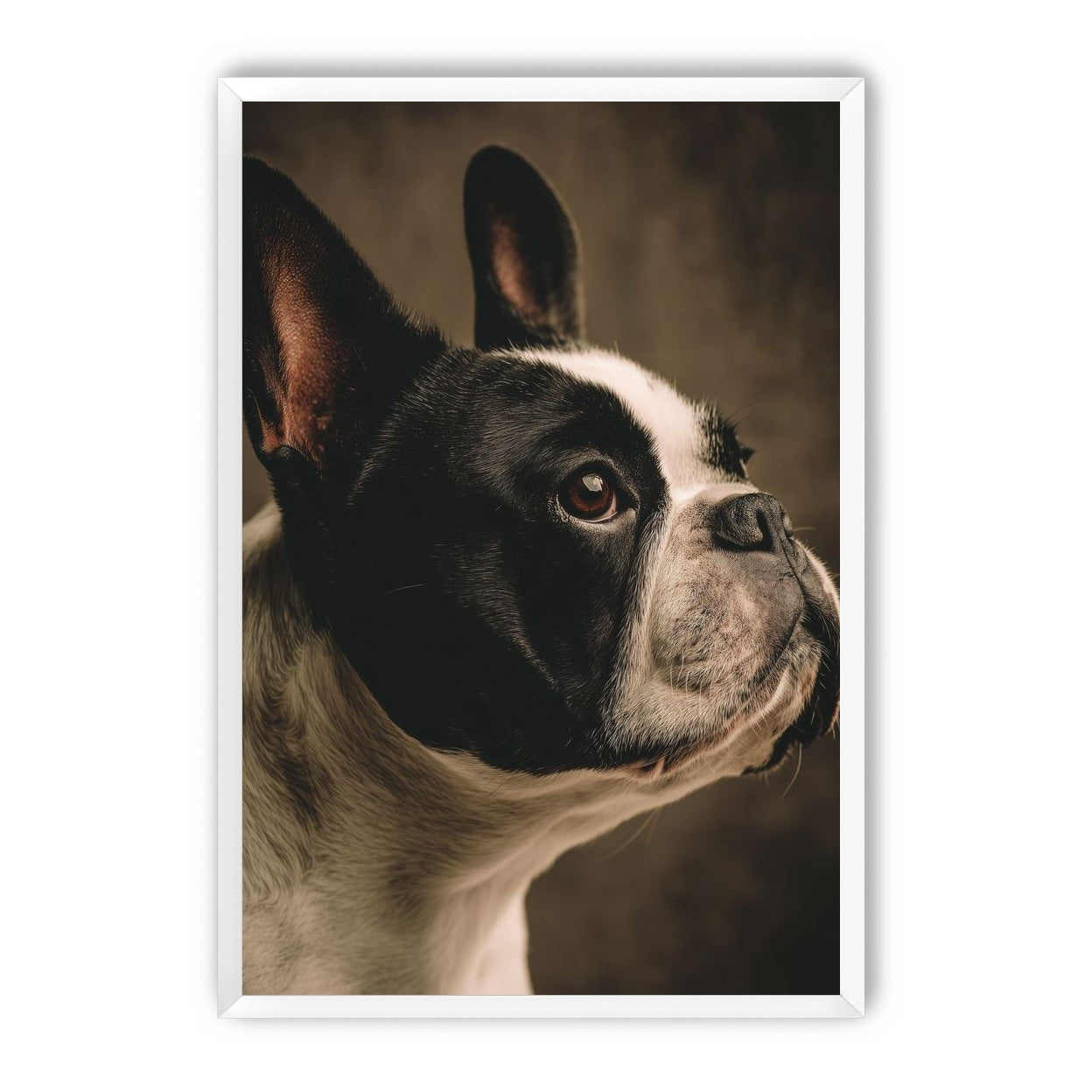 Light caught in one eye
