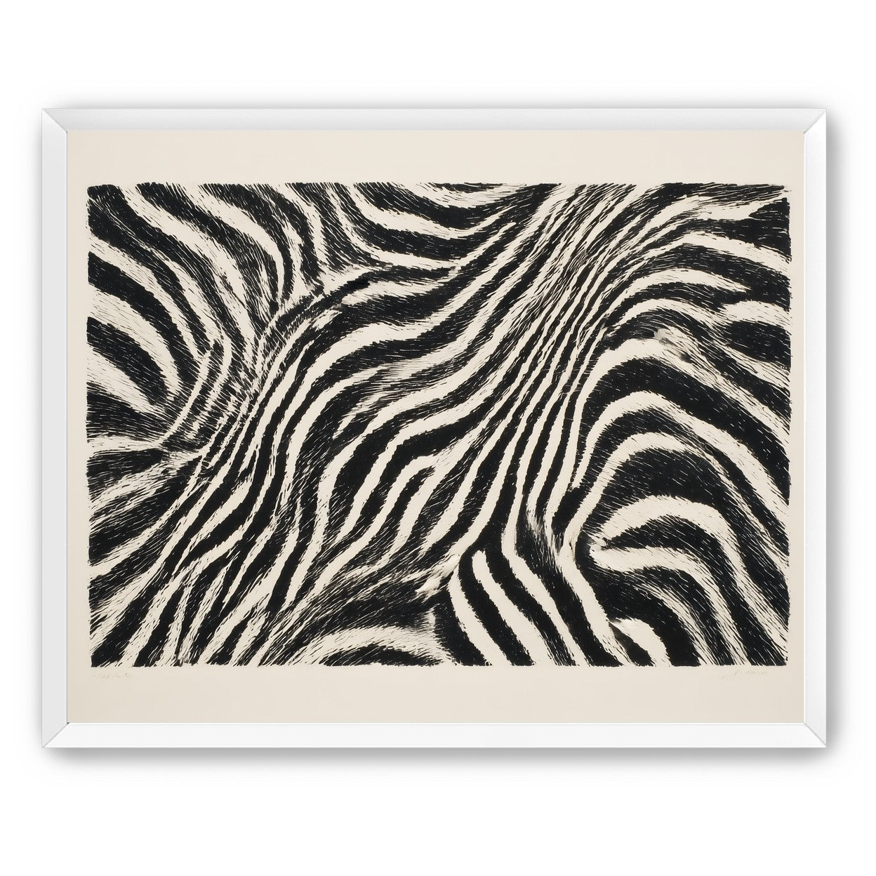 Zebra stripes across the frame