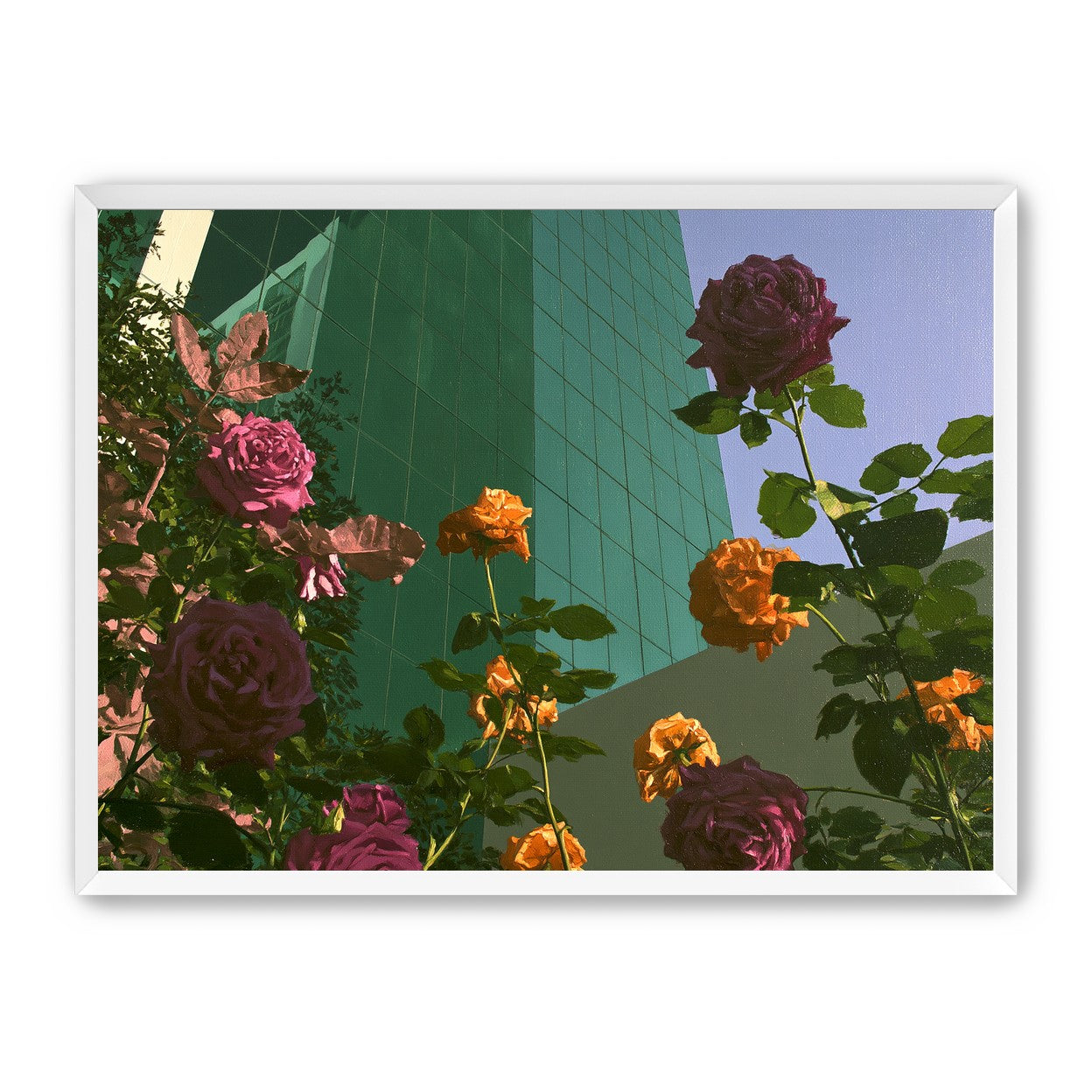Roses climbing the glass wall