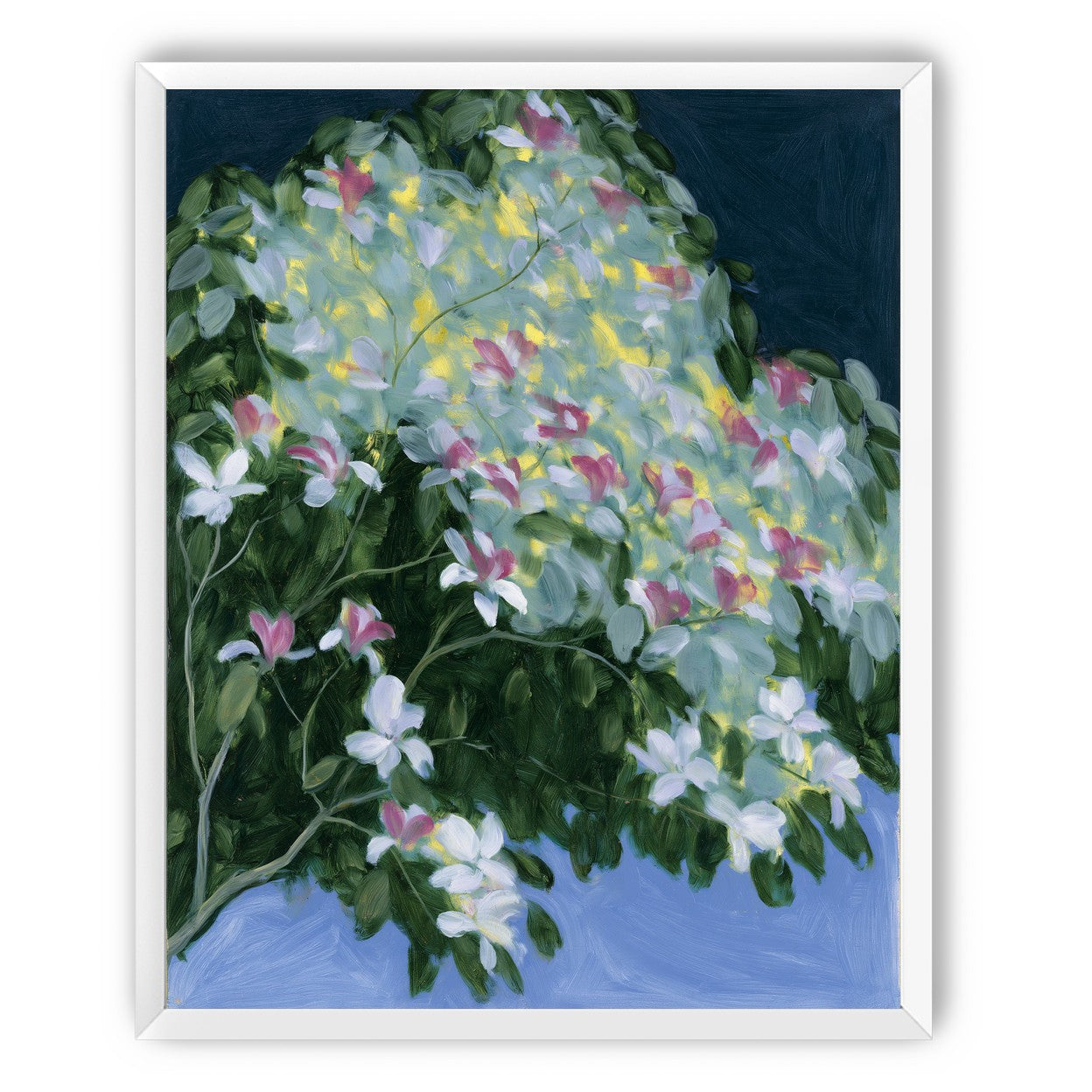 Blossoms across the night sky