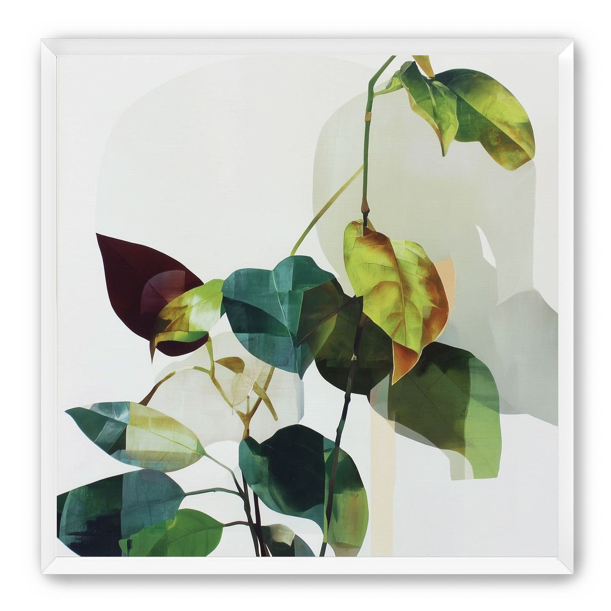 Leaves within pale shadows