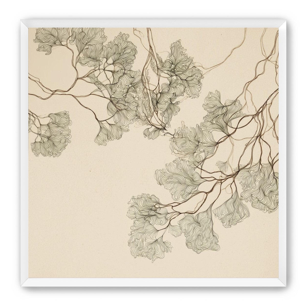 A Field of Drawn Canopies