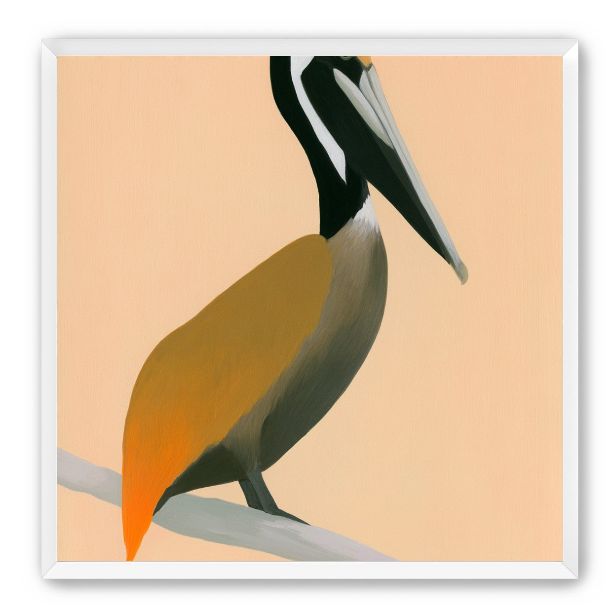 Pelican in peach light