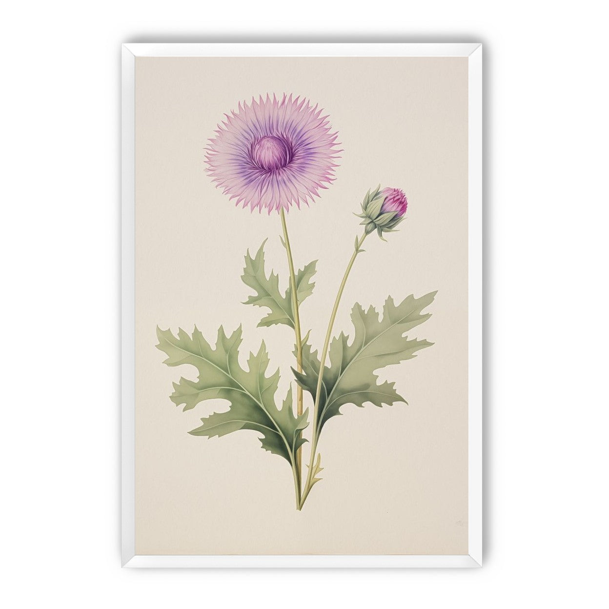 Lavender Radiance