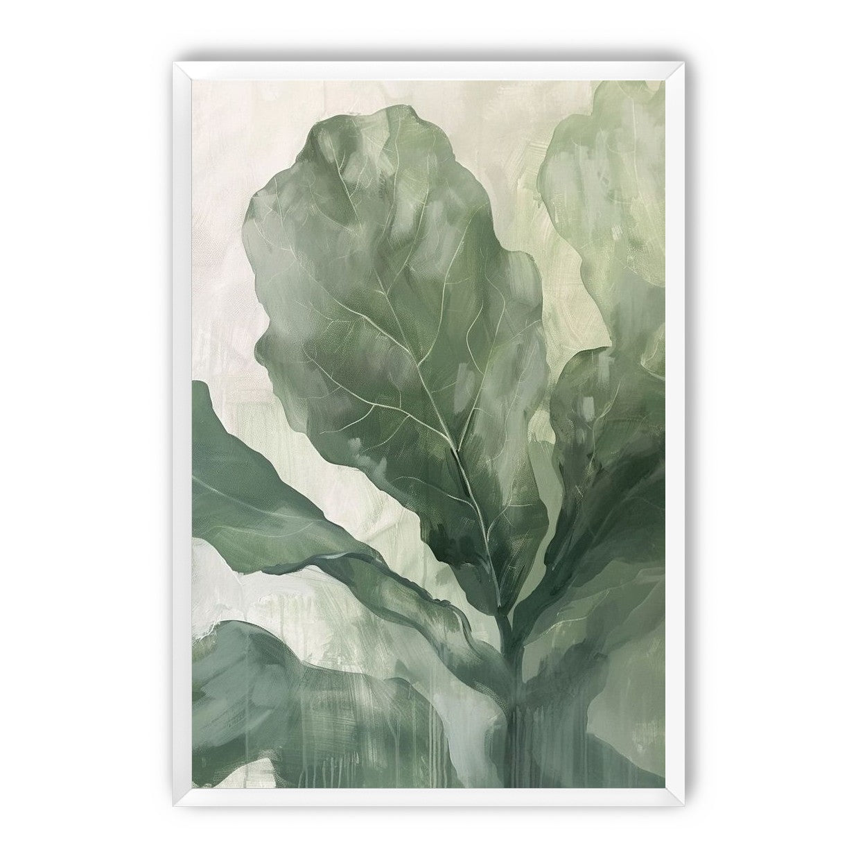 Sage leaves in pale light