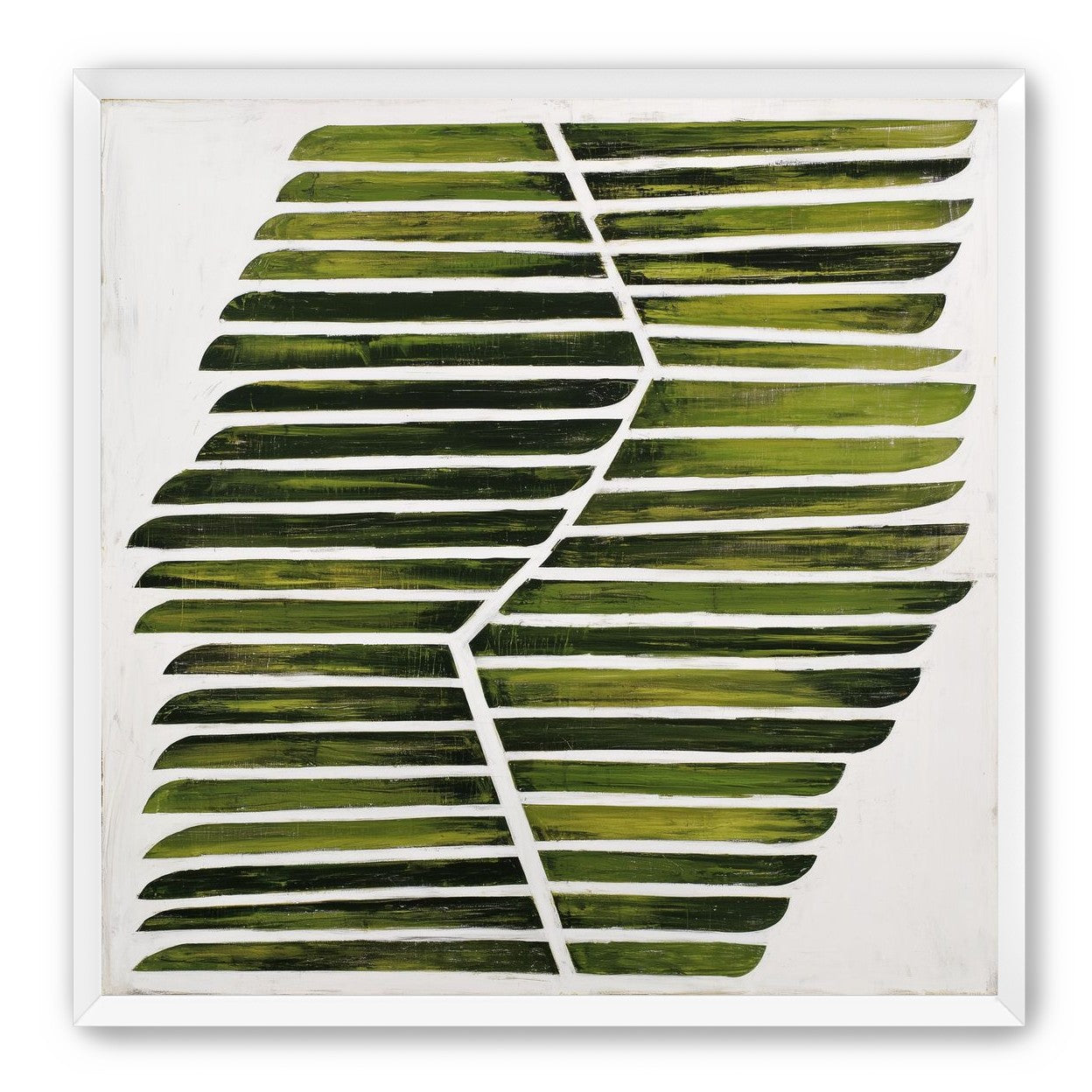 Leaf ribs around a white vein