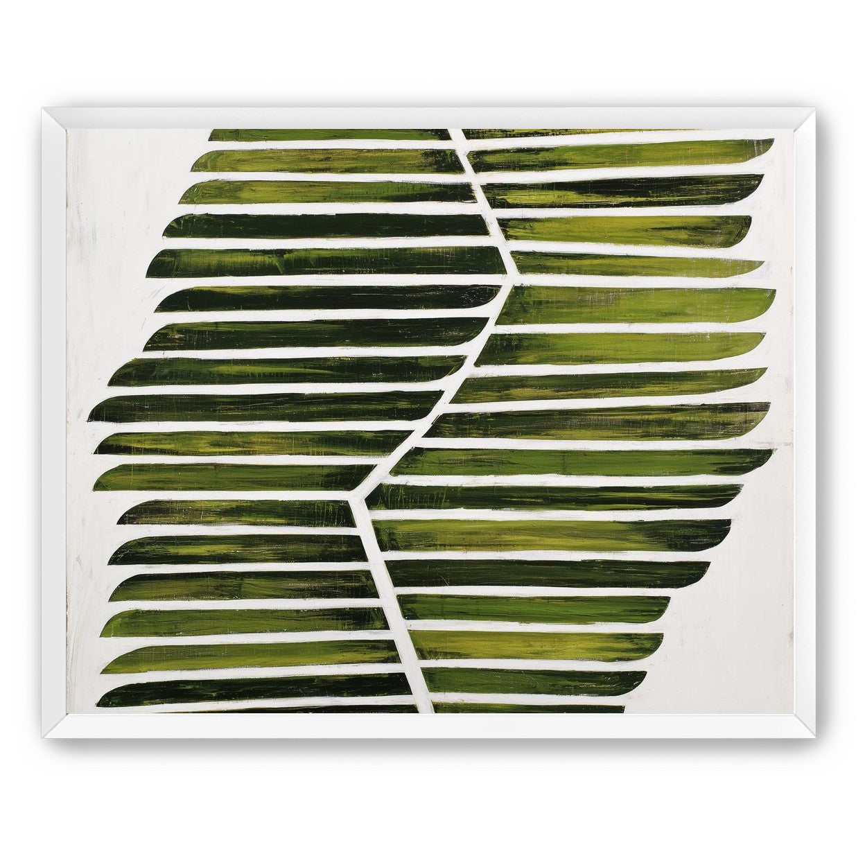 Leaf ribs around a white vein