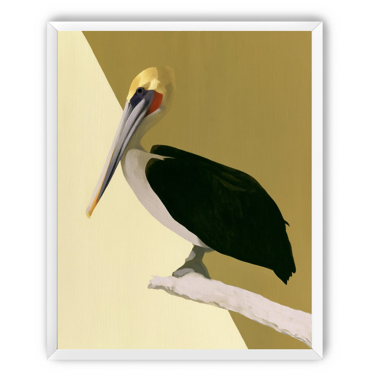 Pelican in quiet balance