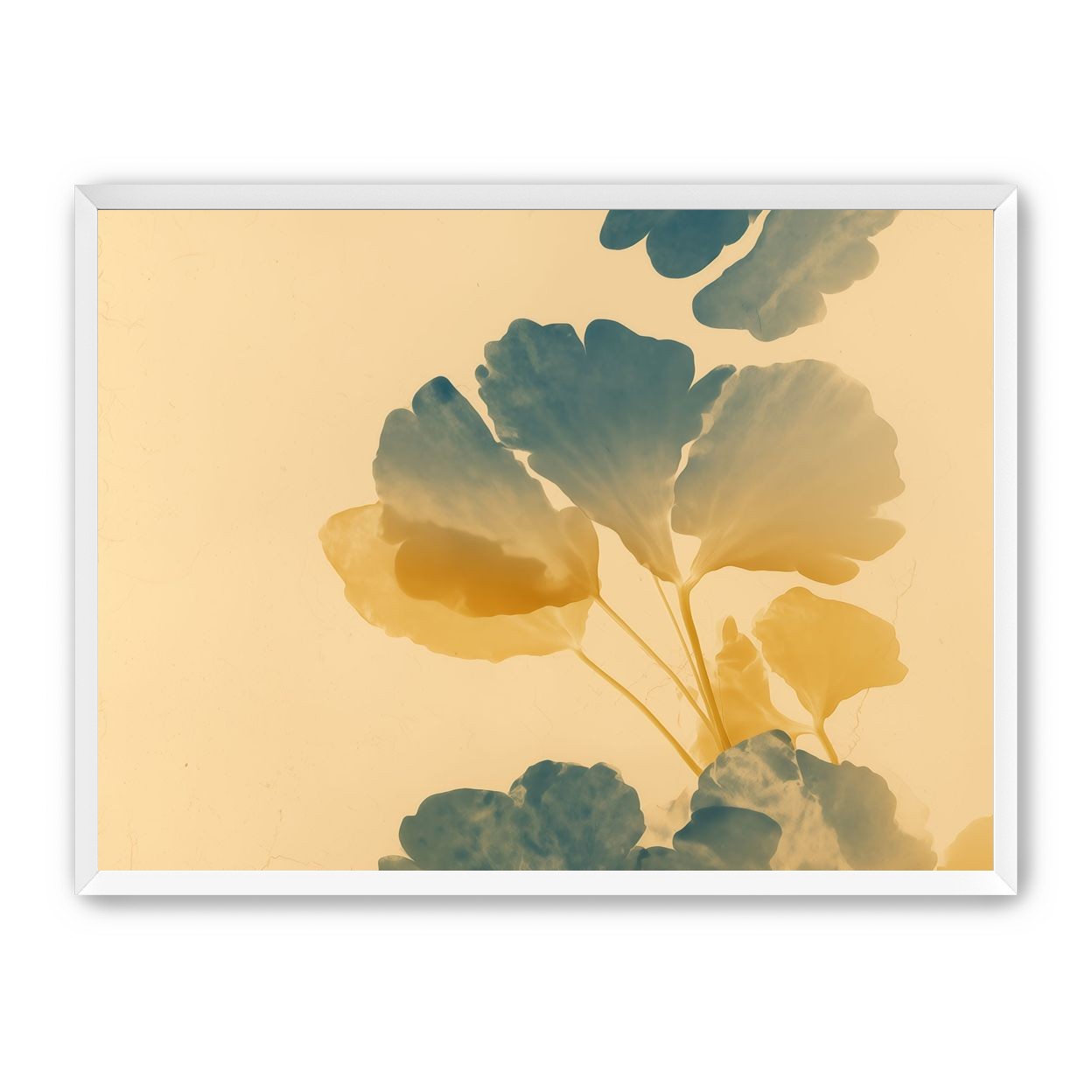 Pressed Matter