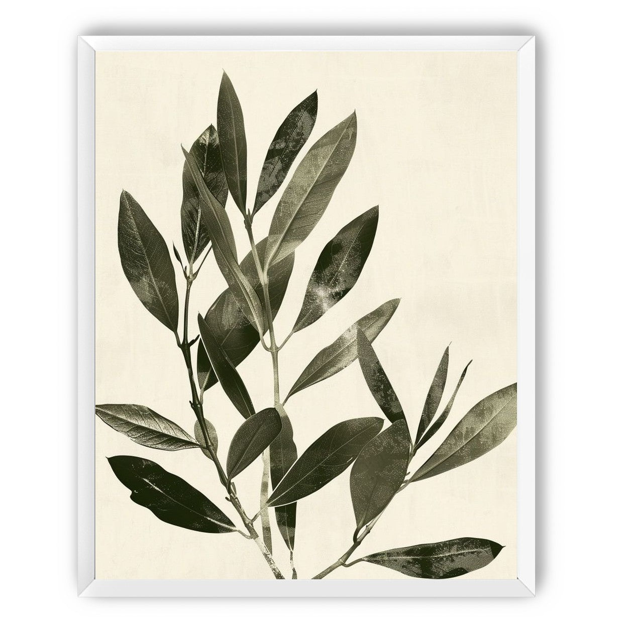 Dark leaves on pale field