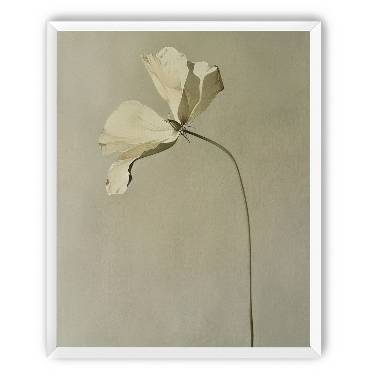 Cream petals in gray green air