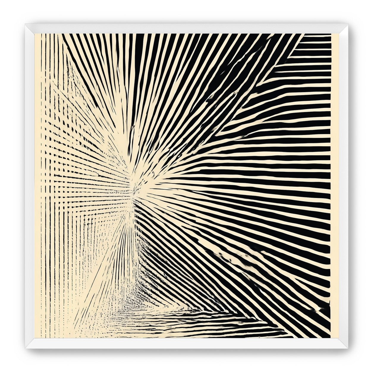Convergence within black stripes