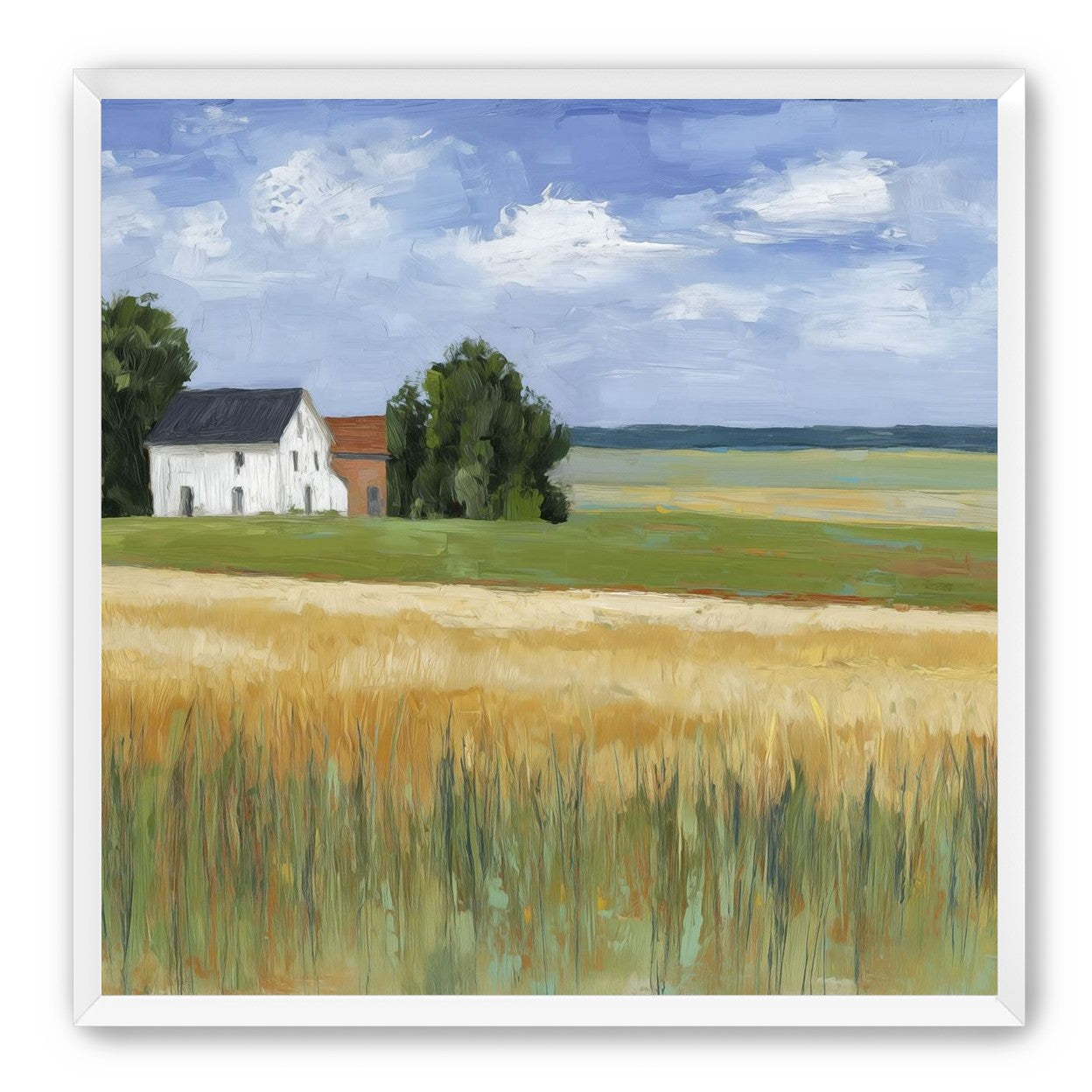 Grain Field Under Sun