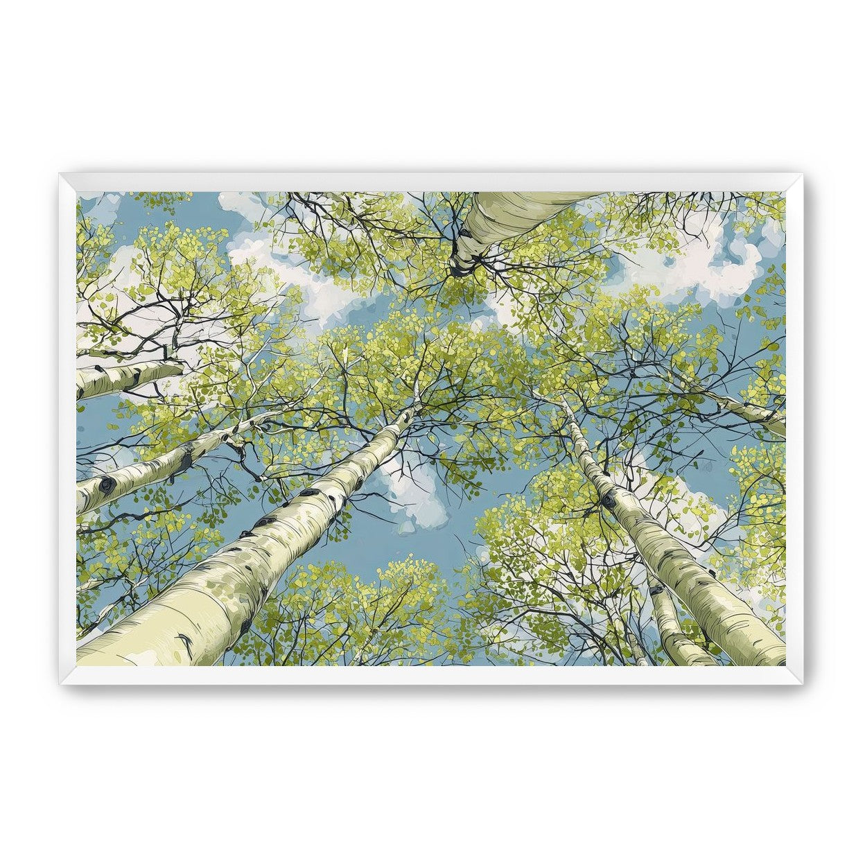 Aspen Canopy I