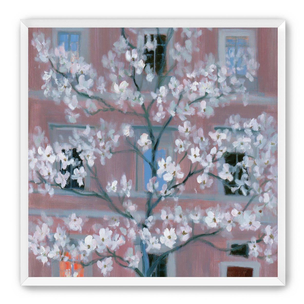 White blossoms against the pink house