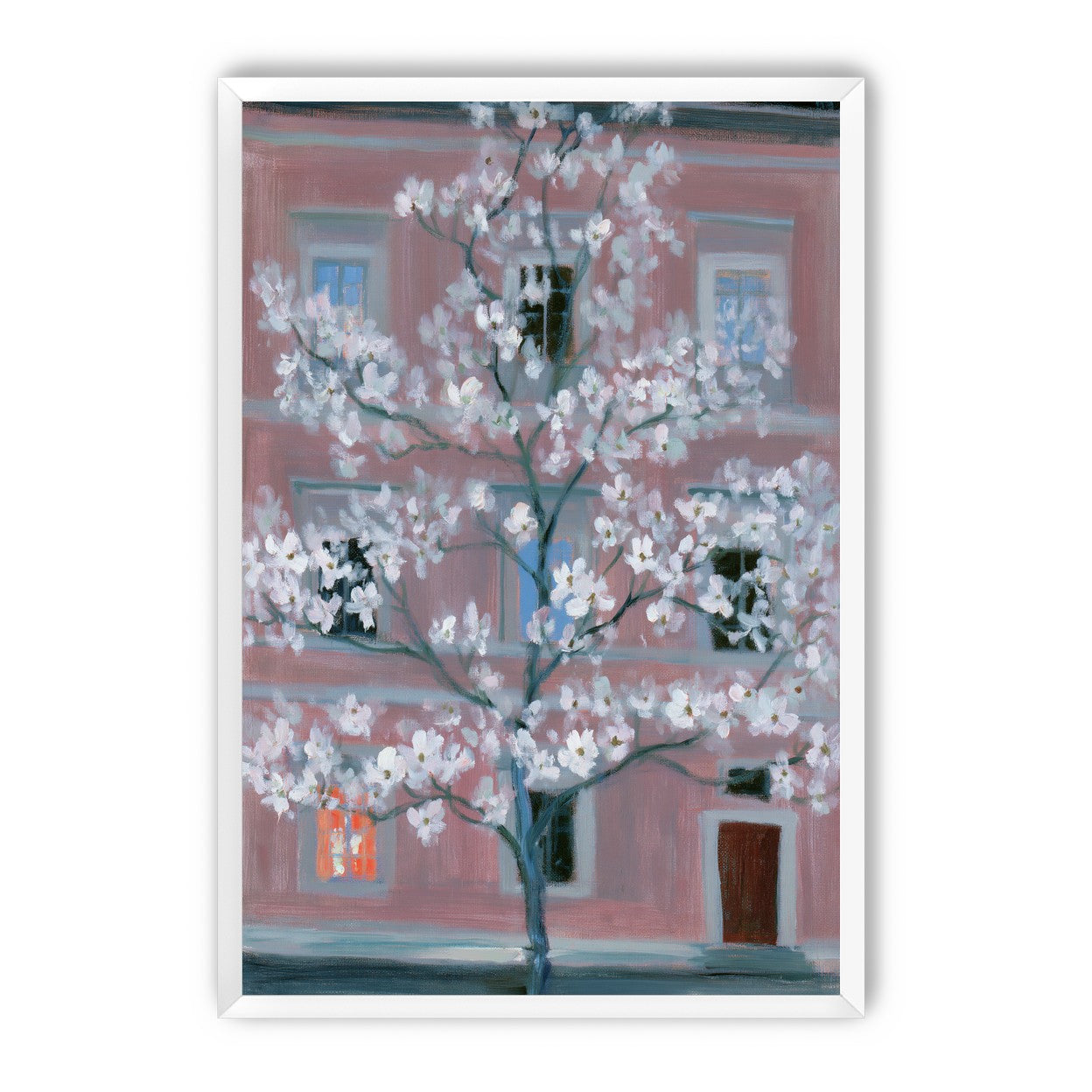 White blossoms against the pink house