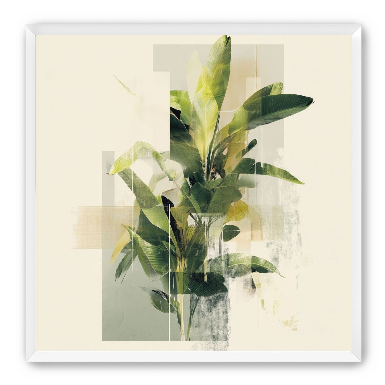 Plant in layered light