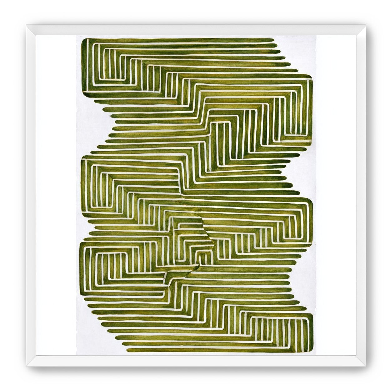 Olive bands in white quiet