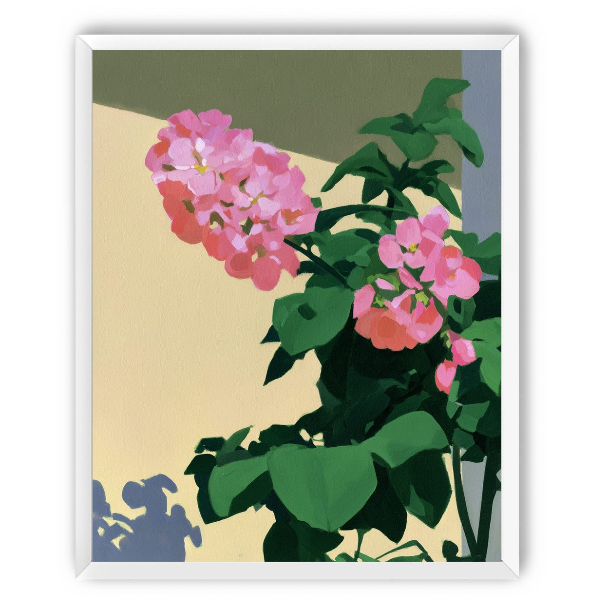 Pink blooms in hard light