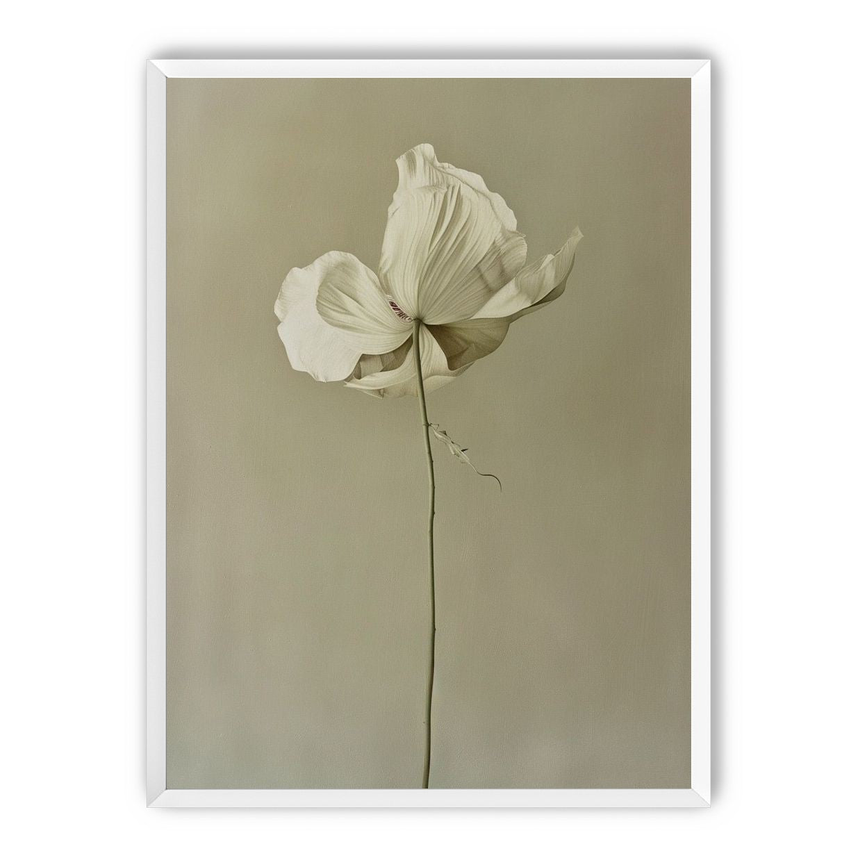 Ivory bloom in gray air
