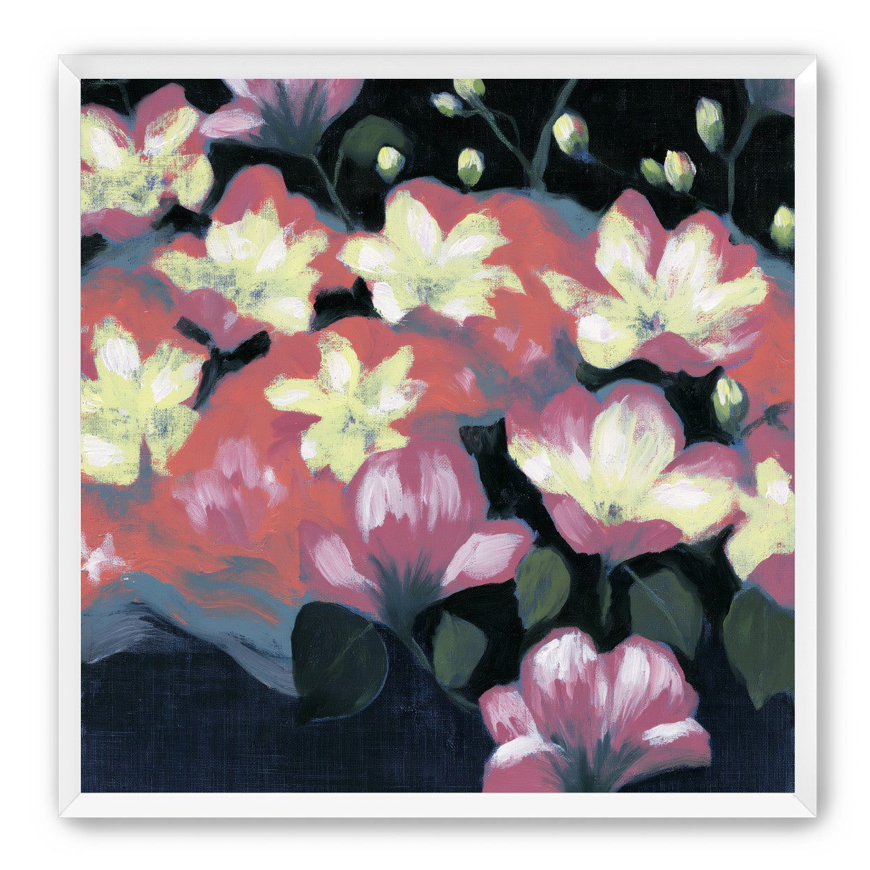 Flowers waking in the dark