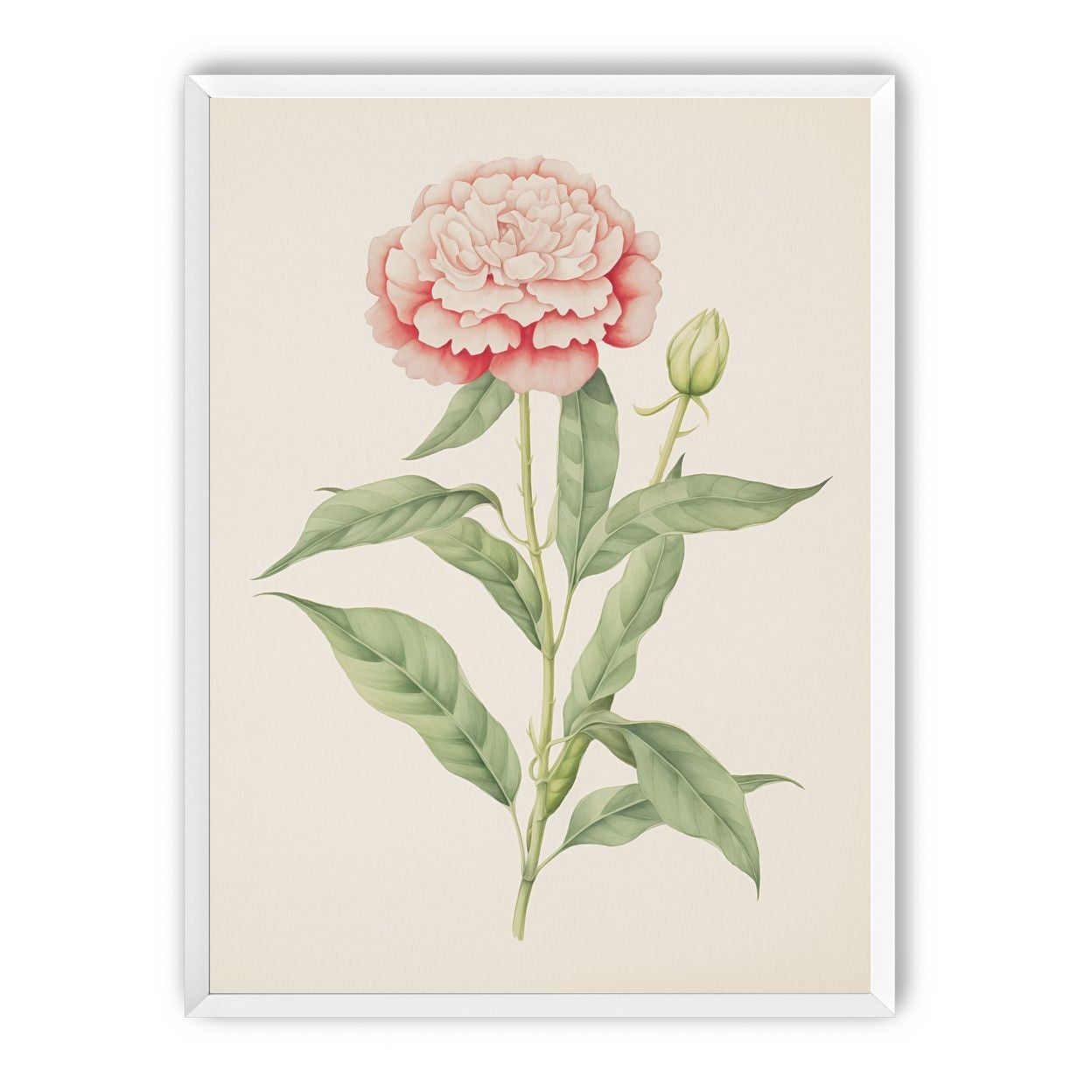 Delicate Blush