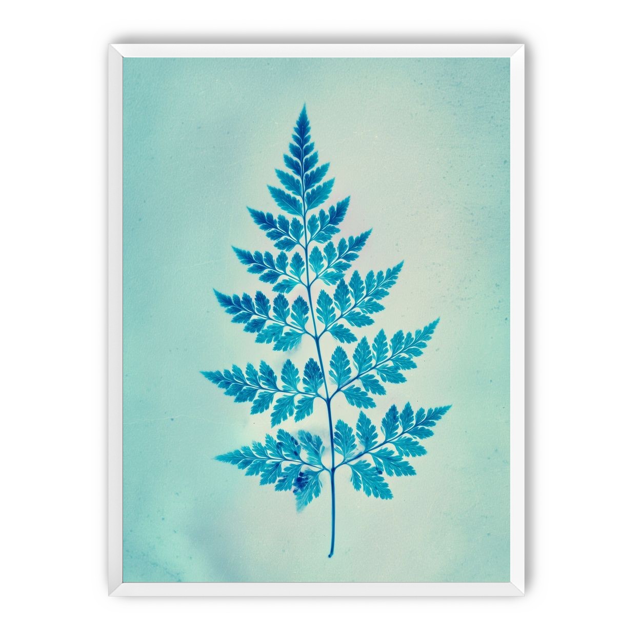 stems and leaves