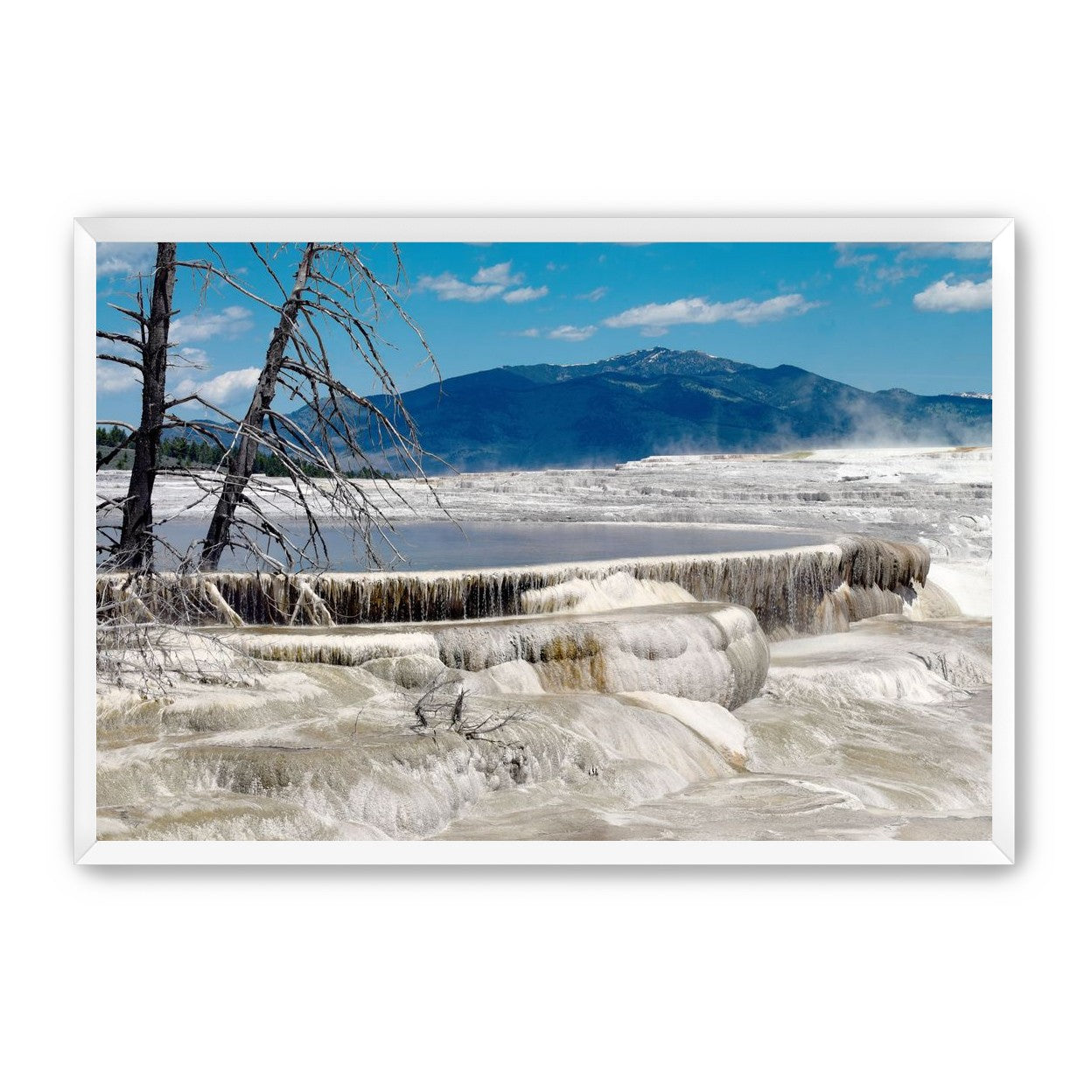 Mammoth Hot Springs