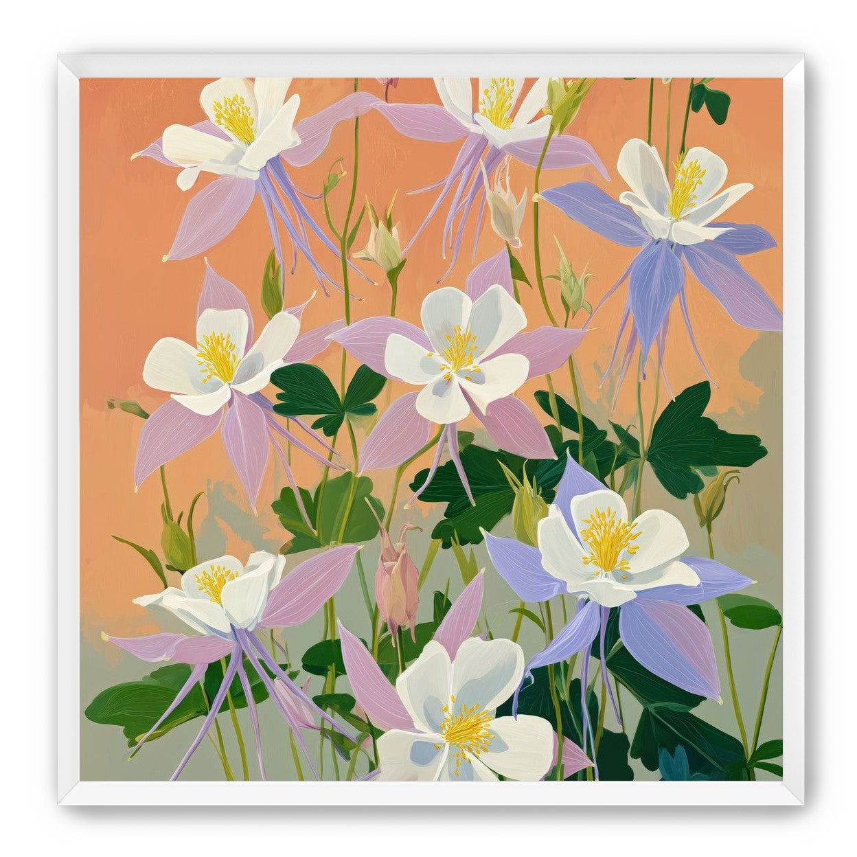 Columbines in Bloom